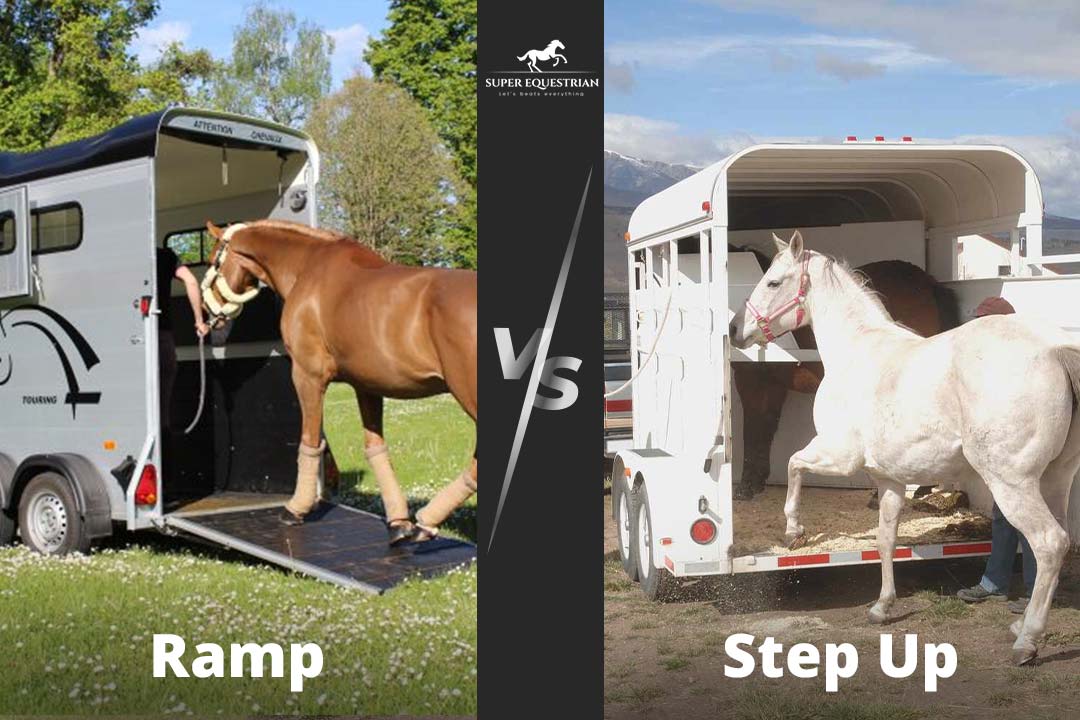 Step Up vs Ramp Horse Trailer Choose the Right One
